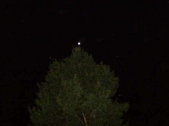 HPIM0814.JPG