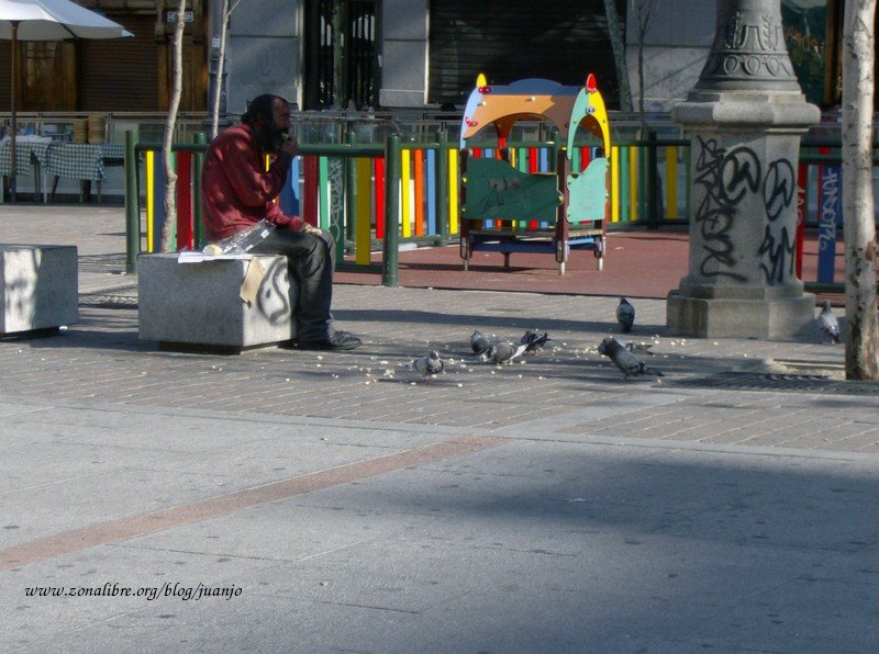 photoblog_4-vagabundo_y_sus_palomas.jpg